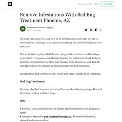 Remove Infestations With Bed Bug Treatment Phoenix, AZ