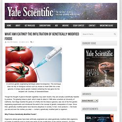 The Nation's Oldest College Science Publication – What Am I Eating? The Infiltration of Genetically Modified Foods