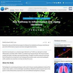 Key Pathway in Inflammation and Aging Identified