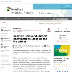 Bioactive Lipids and Chronic Inflammation: Managing the Fire Within