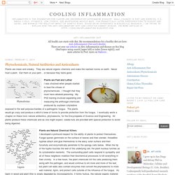 Cooling Inflammation: Phytochemicals, Natural Antibiotics and Antioxidants