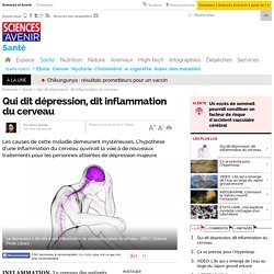 Qui dit dépression, dit inflammation du cerveau - Sciencesetavenir.fr