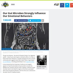 Our Gut Microbes Strongly Influence Our Emotional Behaviors