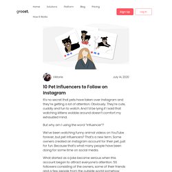 10 Pet Influencers to Follow on Instagram - groost.