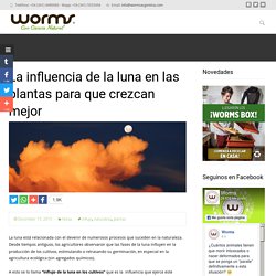 La influencia de la luna en las plantas para que crezcan mejor - Worms Argentina