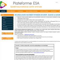 PLATEFORME ESA 16/09/21 INFLUENZA AVIAIRE HAUTEMENT PATHOGÈNE EN EUROPE : BILAN DE LA SAISON 2020-2021