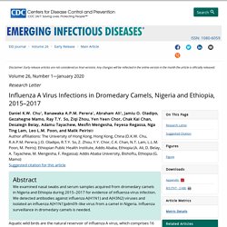 CDC EID - JANV 2020 - Influenza A Virus Infections in Dromedary Camels, Nigeria and Ethiopia, 2015–2017