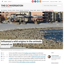 THE CONVERSATION 09/03/18 Influenza’s wild origins in the animals around us