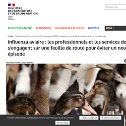 MAA 08/07/21 Influenza aviaire : les professionnels et les services de l’État s’engagent sur une feuille de route pour éviter un nouvel épisode