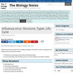 Influenza virus- Structure, Types, Life Cycle