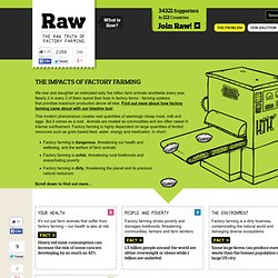 RAW Campaign: The True Cost of Factory Farming