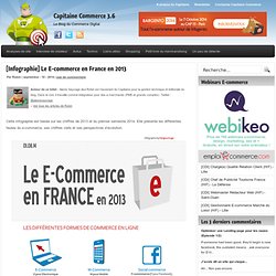 [Infographie] Le E-commerce en France en 2013