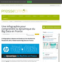 Une Infographie Pour Comprendre La Dynamique Du Big Data En France