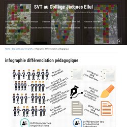 infographie différenciation pédagogique – SVT au Collège Jacques Ellul