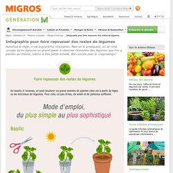 Migros - Infographie pour faire repousser les légumes - Génération M