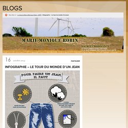 Infographie - Le tour du monde d'un jean - Le blog de Marie-Monique Robin