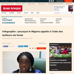 Infographie : pourquoi le Nigeria appelle à l'aide des bailleurs de fonds