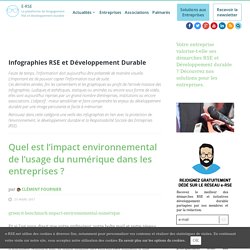 Infographies RSE et Développement Durable - e-rse.net