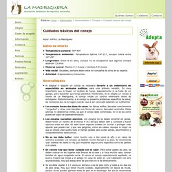 La Madriguera Información Generalidades Conejos Cuidados básicos del conejo - Adopción de conejos, roedores y otros animales.