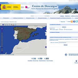 Centro Nacional de Información Geográfica - Search in viewer