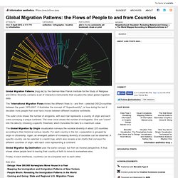 Global Migration Patterns: the Flows of People to and from Countries