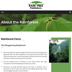 Facts and information on the Amazon Rainforest
