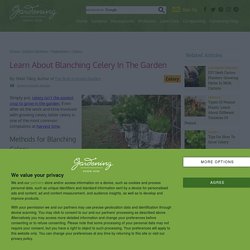 Information about How to Blanch Celery