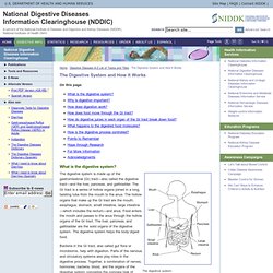 - National Digestive Diseases Information ClearinghouseYour Digestive System and How It Works