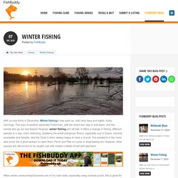 Get The Winter Fishing Clubs & Venues Information