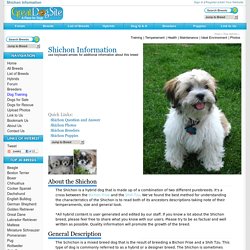 Shichon Information, Pictures, Reviews and Q&A