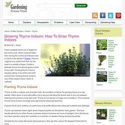 Growing Thyme Indoors