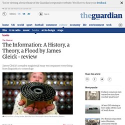 The Information: A History, a Theory, a Flood by James Gleick – review