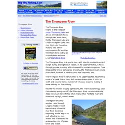 The Thompson River in Northwest Montana : Information, Fishing Details and Photographs
