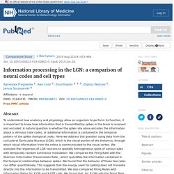 Information processing in the LGN: a comparison of neural codes and cell types