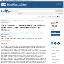 Visual Information Processing in the Ventral Division of the Mouse Lateral Geniculate Nucleus of the Thalamus