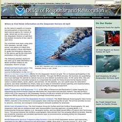 Deepwater Horizon/BP Oil Spill Archive