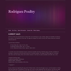Sales Information - Rodriguez Poultry