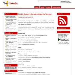 Dig Up System Information Using the Terminal