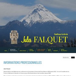 Informations professionnelles – Jules Falquet
