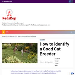 RedsKop - Informative Goals Enumerated