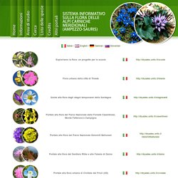 Sistema informativo sulla flora delle Alpi Carniche meridionali (Ampezzo-Sauris)
