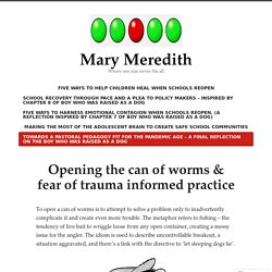 Opening the can of worms & fear of trauma informed practice – Mary Meredith