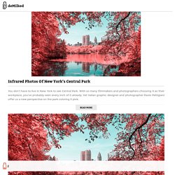 Infrared Photos Of New York’s Central Park