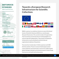 Towards a European Research Infrastructure for Scientific Collections