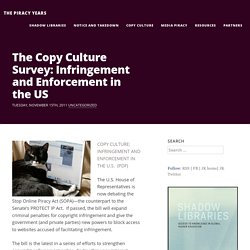 The Copy Culture Survey: Infringement and Enforcement in the US
