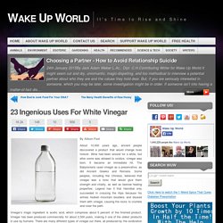 23 Ingenious Uses For White Vinegar
