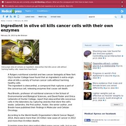 Ingredient in olive oil kills cancer cells with their own enzymes
