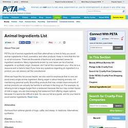Animal Ingredients List