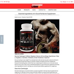 Essential Ingredients of A Good Fat Burner Supplement – Dynamism Labs