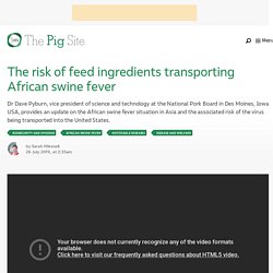 PIGSITE 26/07/19 Feed ingredients could transport African swine fever